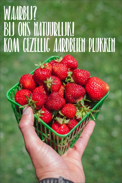 Aardbeien plukken spandoek