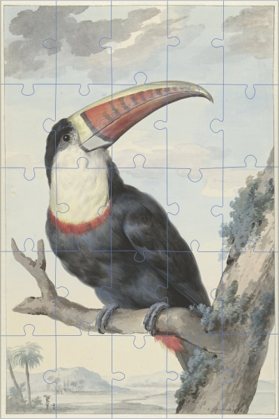 Roodsnaveltoekan puzzel