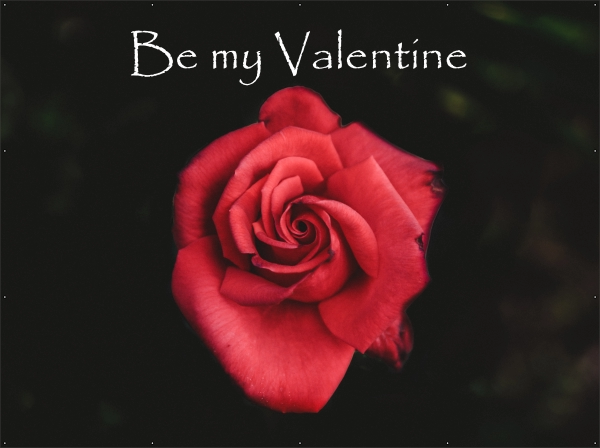 Be my valentine spandoek