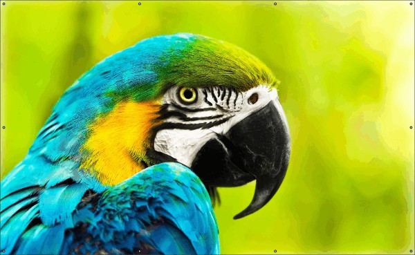 Blauw-gele ara papegaai tuindoek