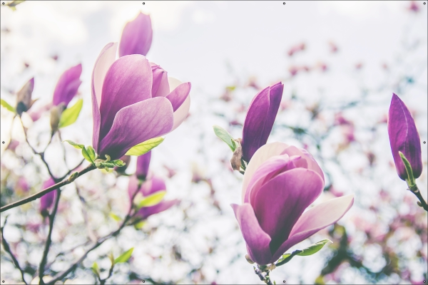 Bloemknoppen lente tuindoek
