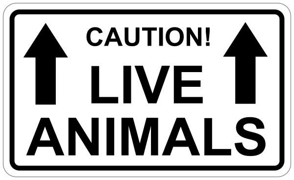 Caution live animals sticker