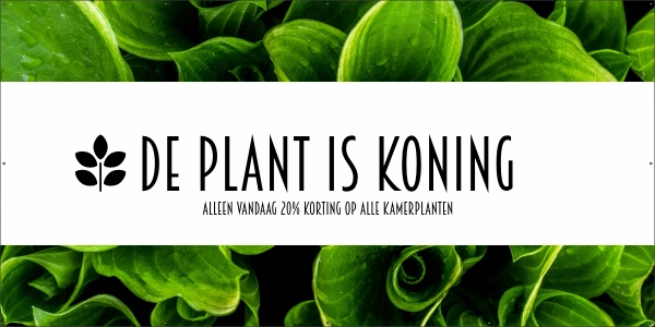 De plant is koning spandoek