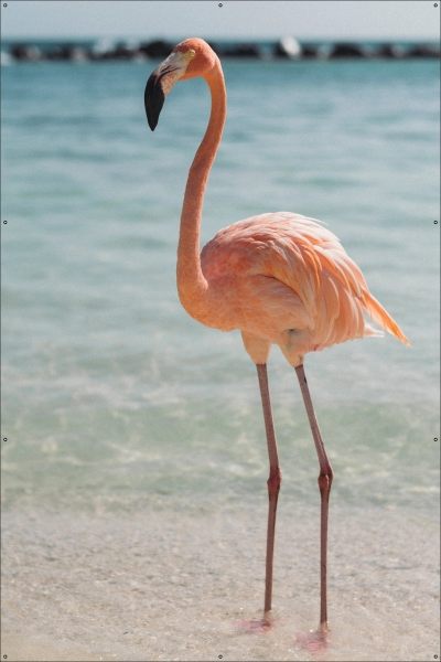 Flamingo tuindoek