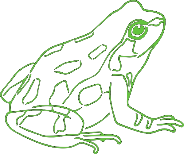 Kikker muursticker