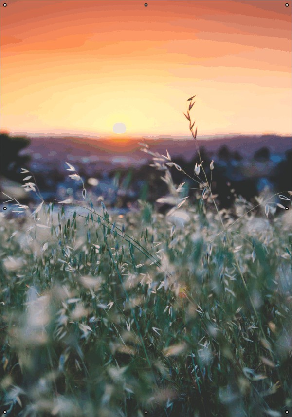 Grasland bij zonsondergang tuindoek