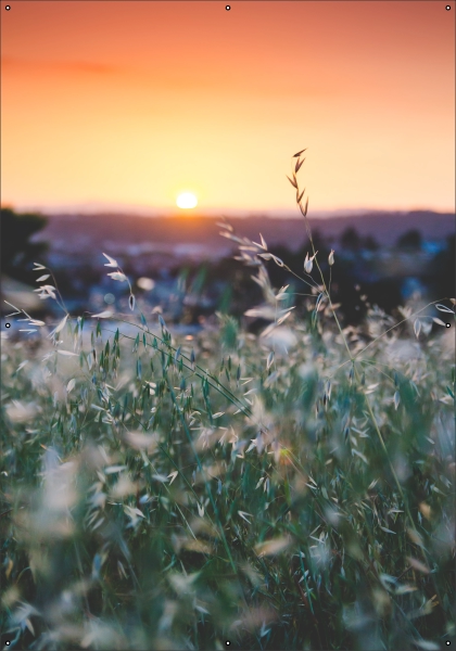 Grasland bij zonsondergang tuindoek