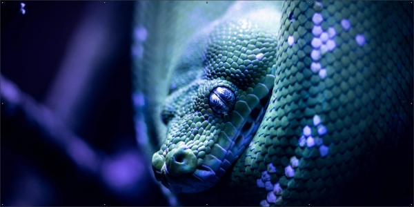 Groene slang tuindoek