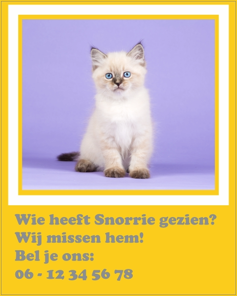 Kat vermist sticker
