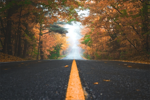 Herfst aan de weg tuindoek