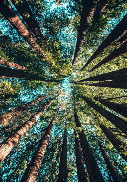 Hoge bomen tuindoek