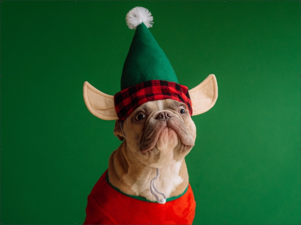 Hondje kerst spandoek