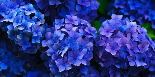 Hortensia tuindoek