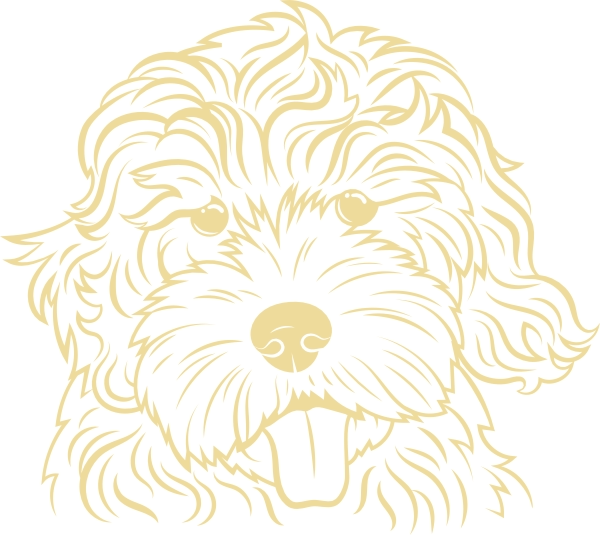 Labradoodle muursticker
