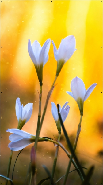Lente tuindoek