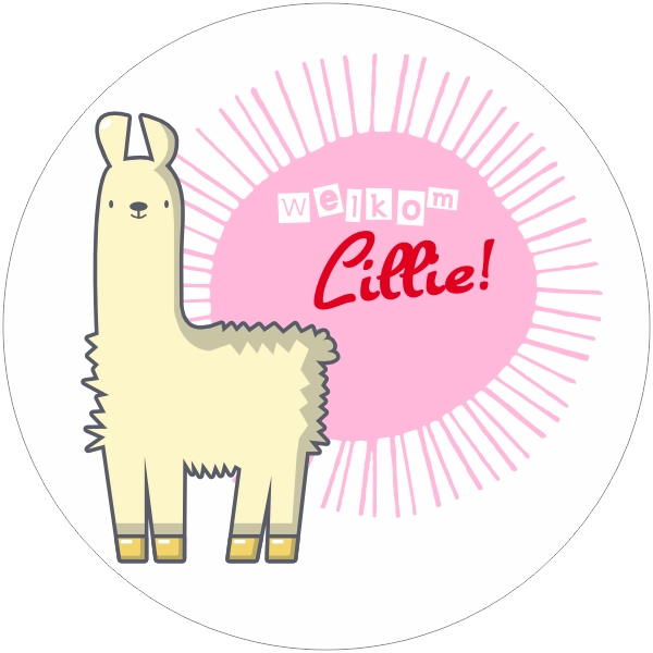 Welkom geboortesticker