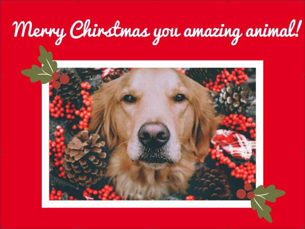Merry Christmas amazing animal spandoek