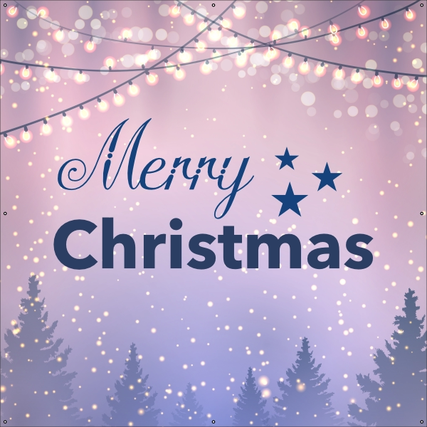 Merry Christmas Lights spandoek