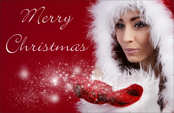 Merry Christmas spandoek