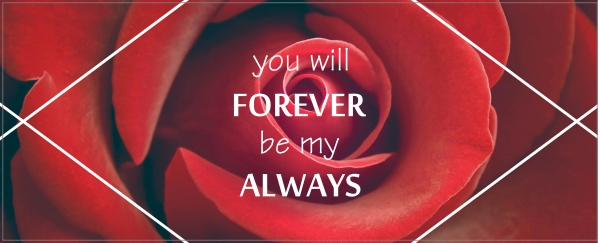 Mok forever my always