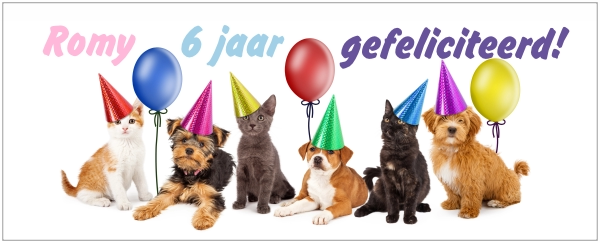 Mok huisdieren feestje