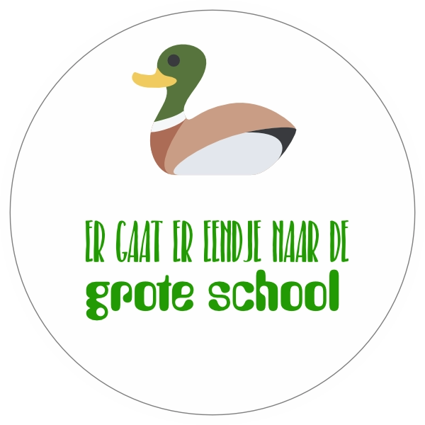 Naar de grote school