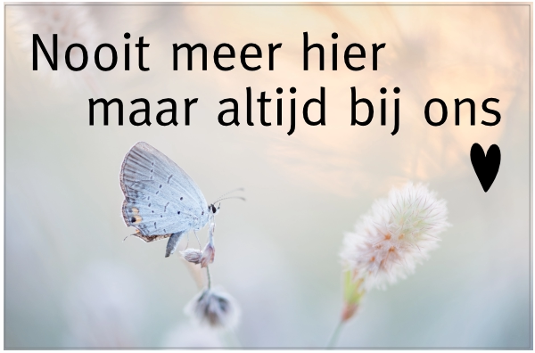 Nooit meer hier maar altijd bij ons sticker