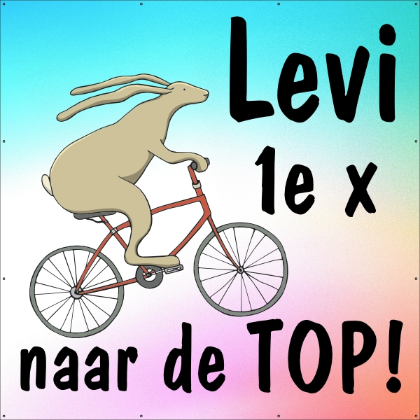 Op naar de TOP spandoek