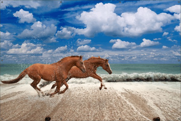 Paarden op het strand tuindoek
