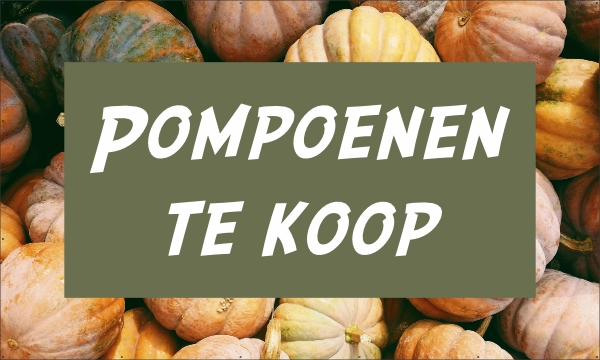 Pompoenen te koop spandoek