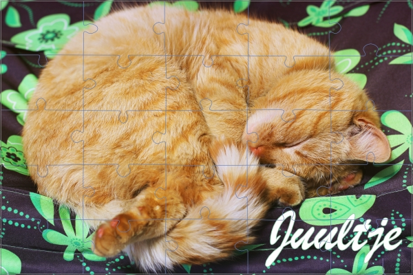 Kat puzzel