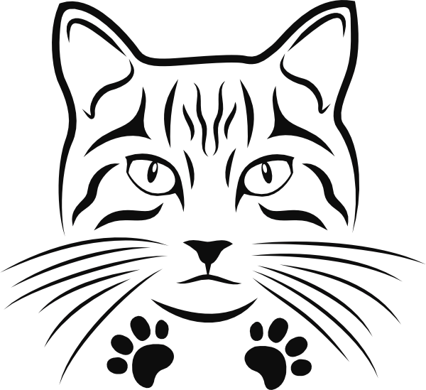Katten autosticker