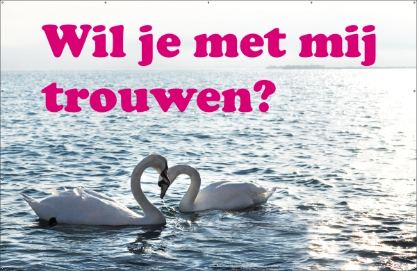 Spandoek Trouwen Zwanen