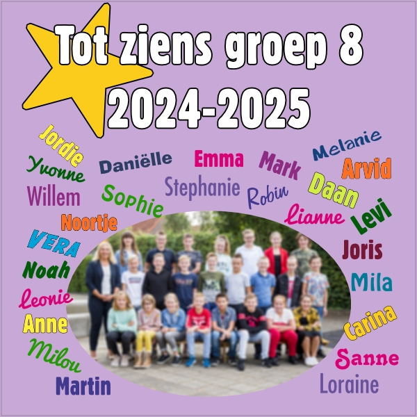 Stoeptegel Groep 8 Tot Ziens - Met Namen En Foto