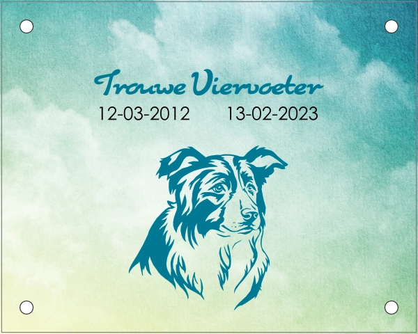 Trouwe viervoeter