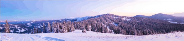 Winter village background spandoek