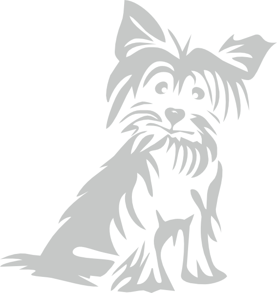 Yorkshire Terrier muursticker