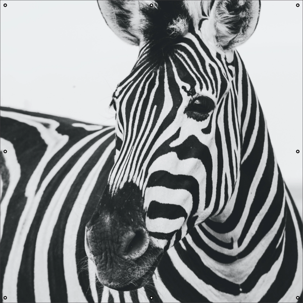 Zebra tuindoek