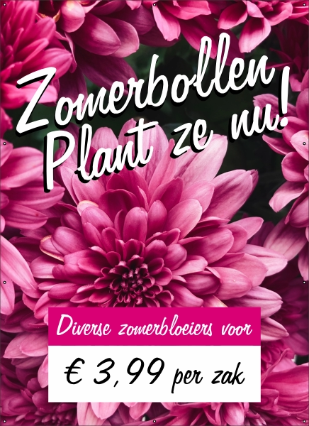 Zomerbollen plant ze nu spandoek