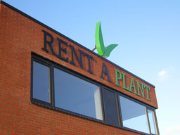 Freesletters Rent A Plant