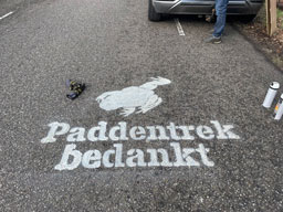 Verfmaskter paddentrek