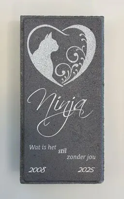 Halve stoeptegel memoriam huisdier