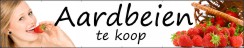 Aardbeien Spandoek