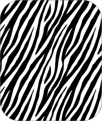 Auto dak sticker zebra