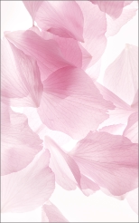 Autodak Bloemblaadjes