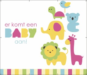 Baby on the way