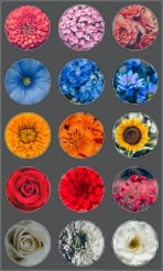 Bloemen Stickervel
