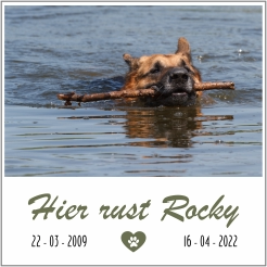 Bordje nagedachtenis hond