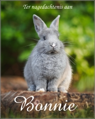 Bordje nagedachtenis huisdier