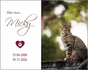 Bordje nagedachtenis kat